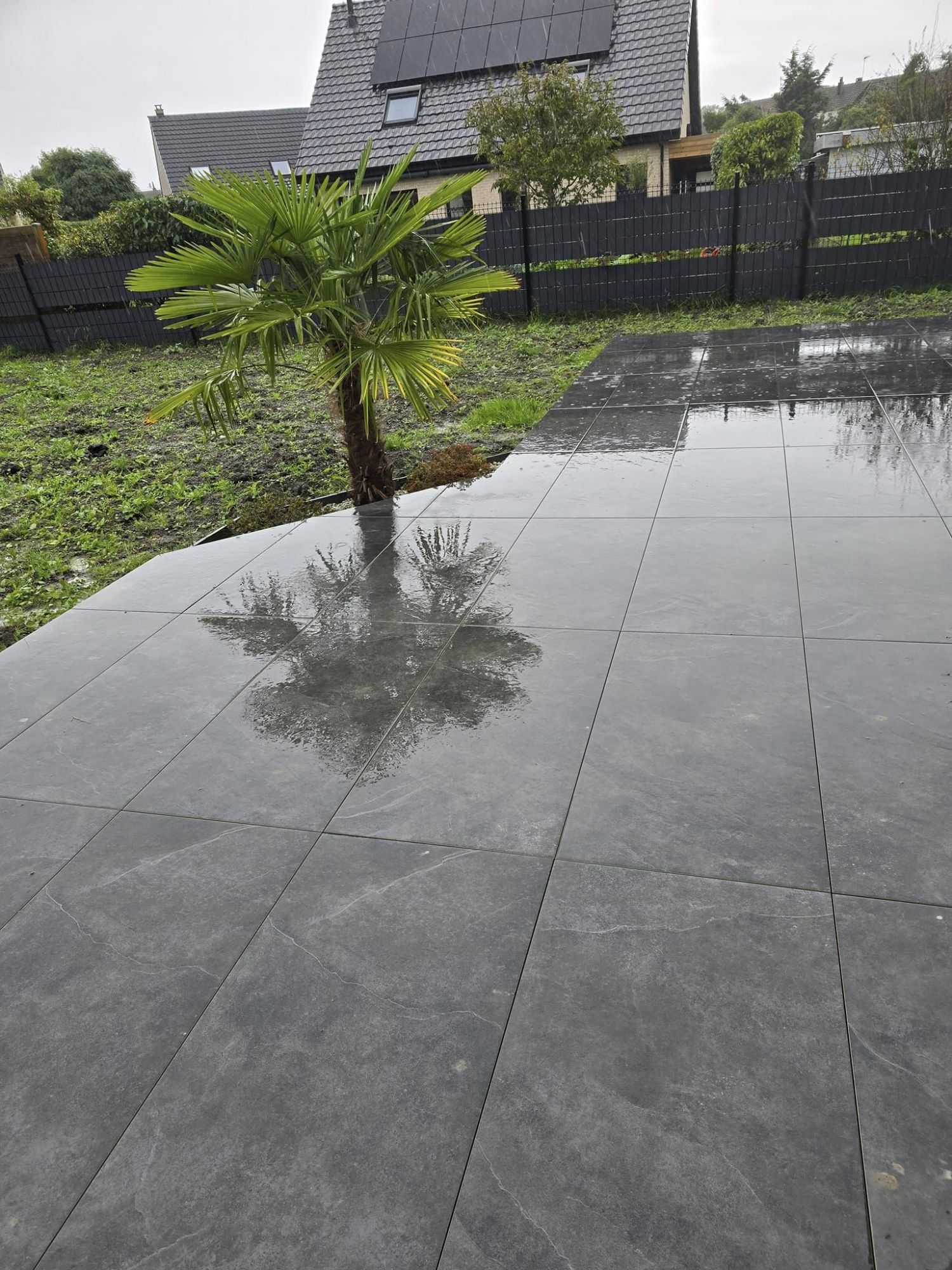 Clôture rigide en double fils et engazonnement 